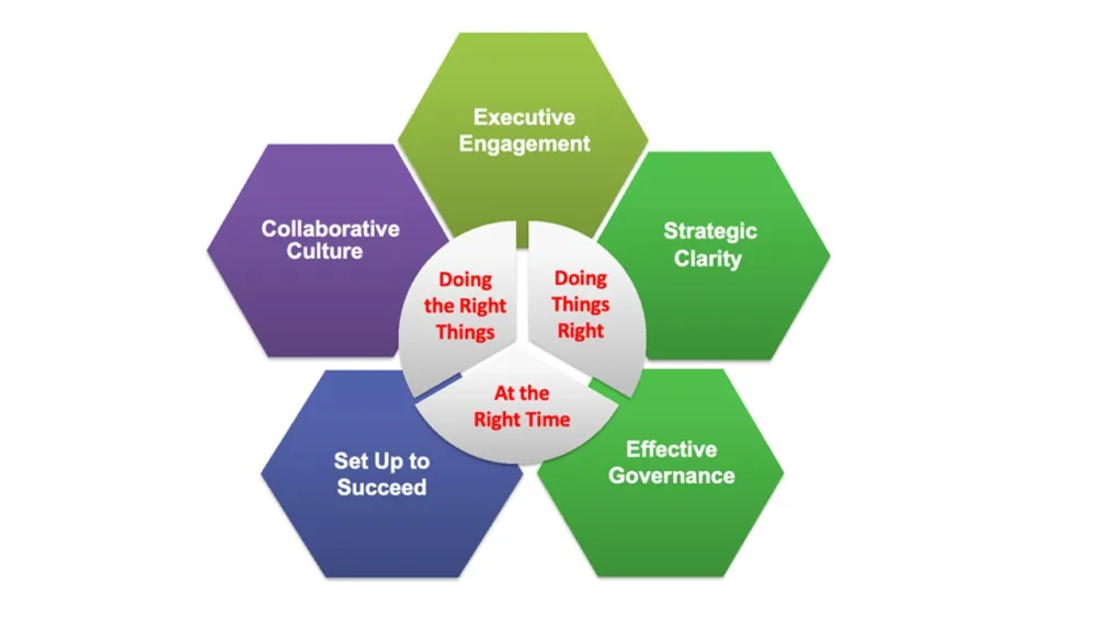 Circular diagram with 5 colourful hexagons representing portfolio management principles