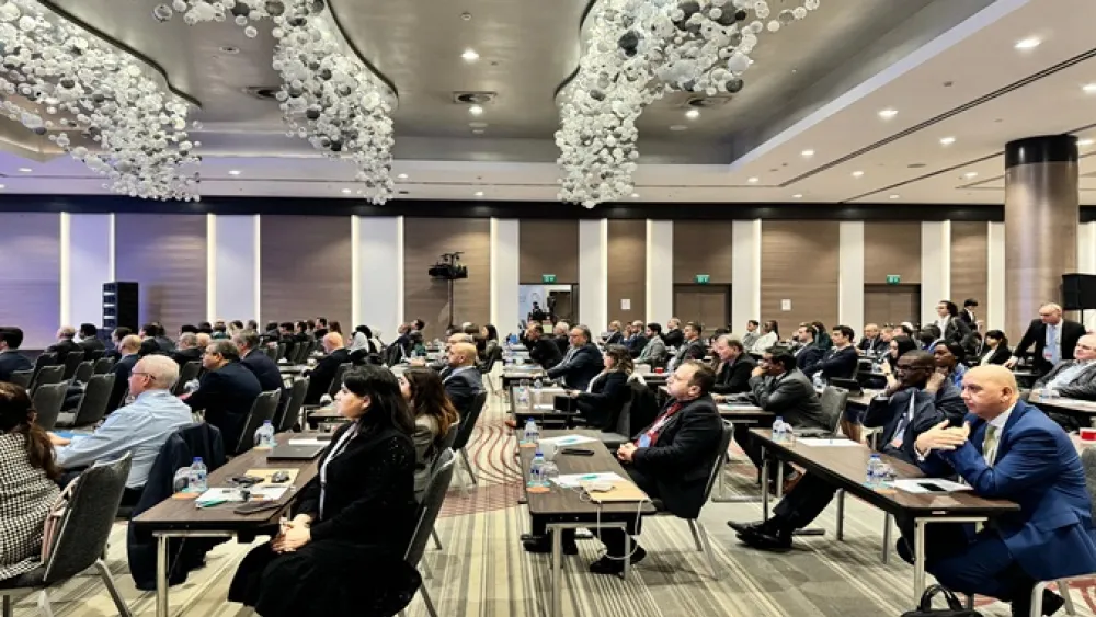 Istanbul Public Private Partnership Center of Excellence illustration