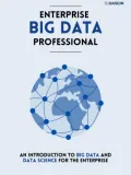 Enterprise Big Data Professional guide